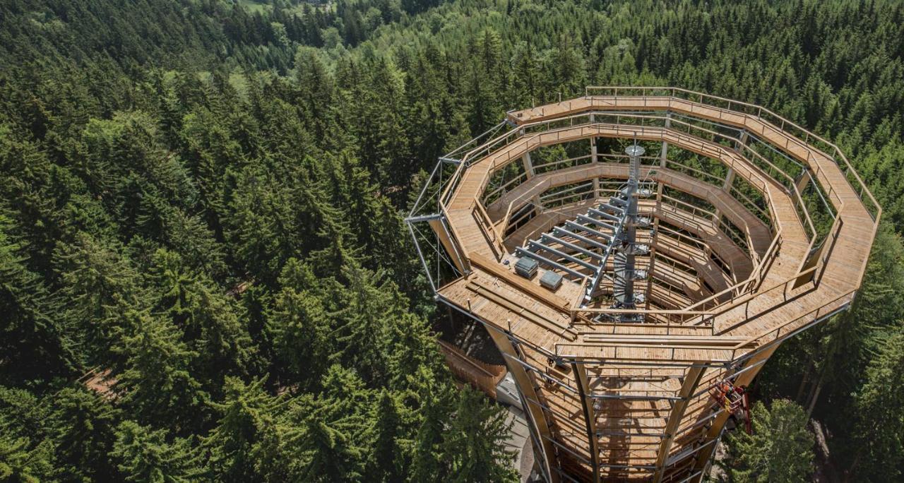 Čtyřicítka na Šťastném kopci Cerný Dul Exterior foto