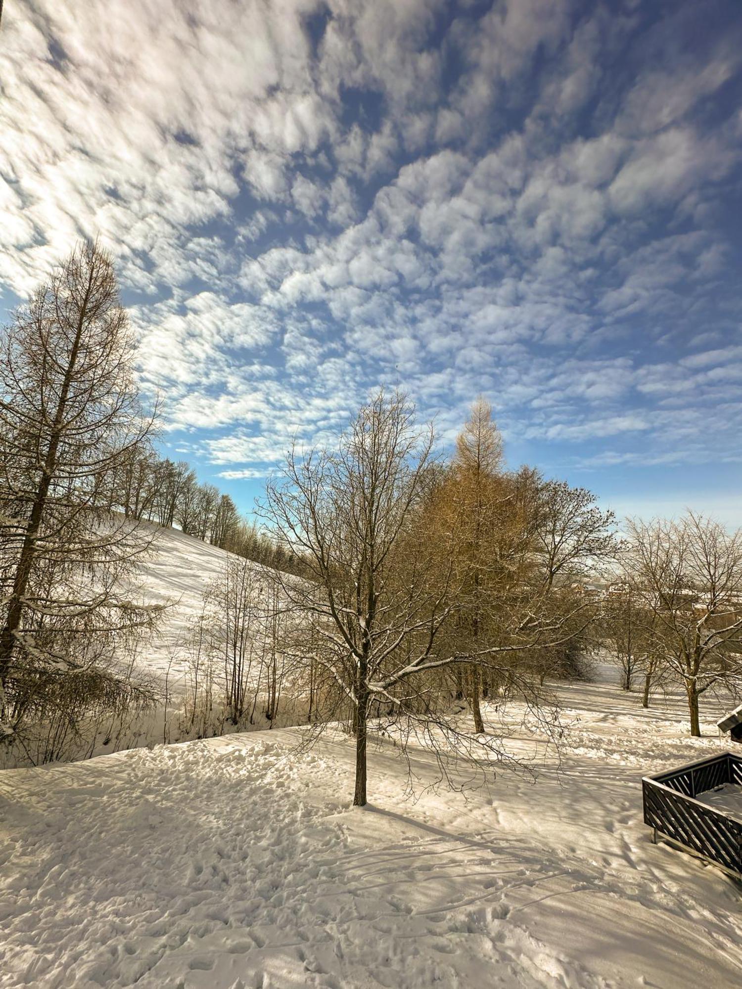 Čtyřicítka na Šťastném kopci Cerný Dul Exterior foto